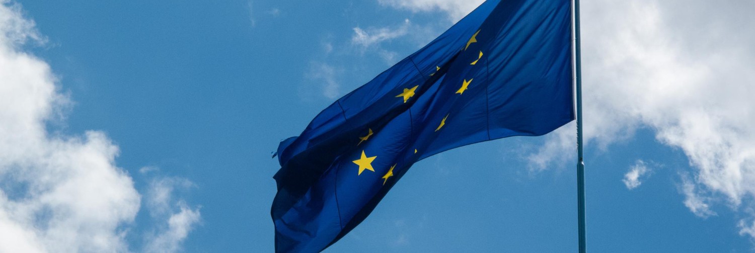 EU Omnibus Draft Eases Sustainability Reporting & Due Diligence Rules